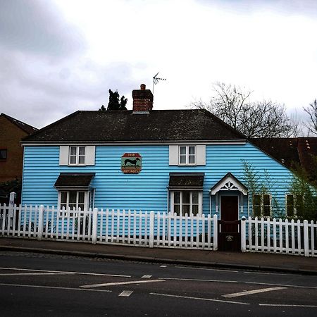 The Greyhound Cottage Chigwell Exteriör bild